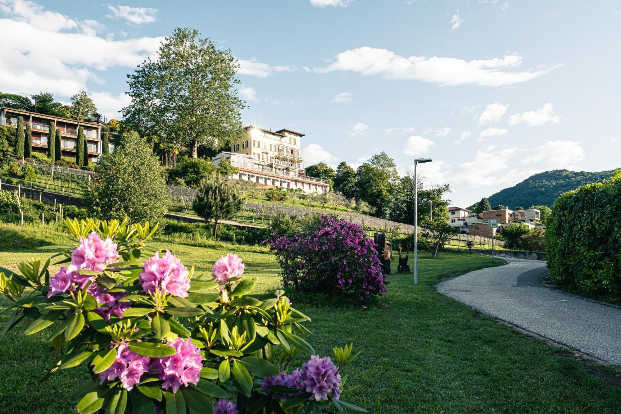 Paladina Hotel Pura Экстерьер фото
